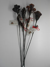 Load image into Gallery viewer, Kelp Roses
